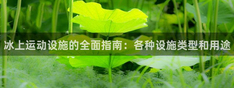 意昂体育3官方客服电话：冰上运动设施的全面指南：各种