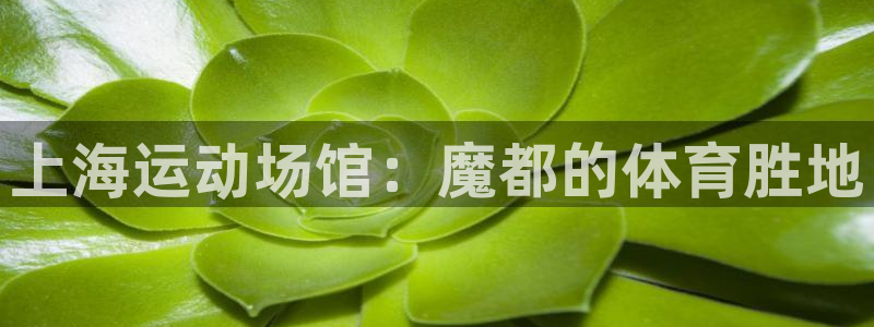 意昂体育3平台注册要钱吗安全吗：上海运动场馆：魔都的