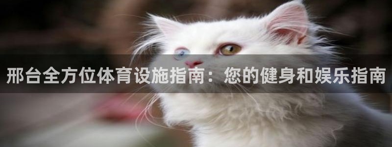 意昂3娱乐是那个系列的台子：邢台全方位体育设施指南：您的健身