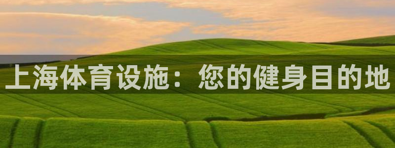 意昂体育3联系电话：上海体育设施：您的健身目的地