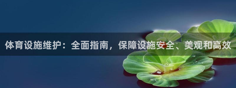 意昂体育3开户：体育设施维护：全面指南，保障设施安全