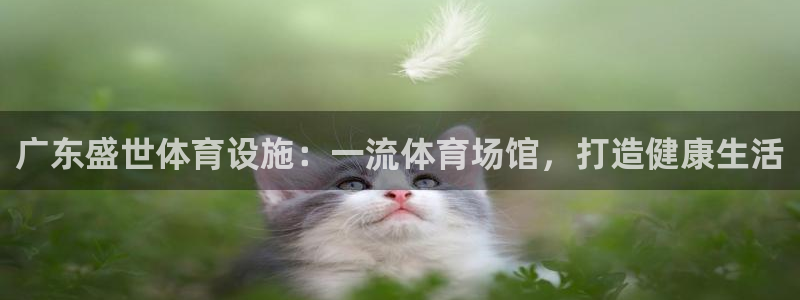 海南意昂体育3：广东盛世体育设施：一流体育场馆，打造