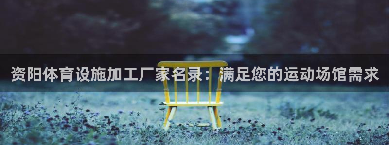 意昂3开户：资阳体育设施加工厂家名录：满足您的运动场