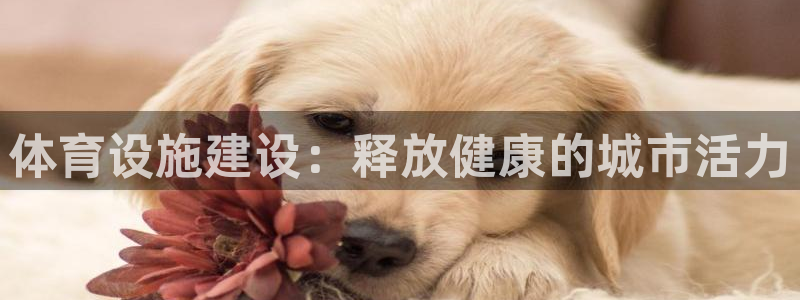 意昂体育3平台是正规平台吗知乎：体育设施建设：释放健