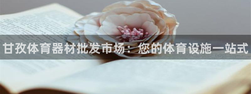 意昂体育3是干嘛的公司：甘孜体育器材批发市场：您的体育设施一