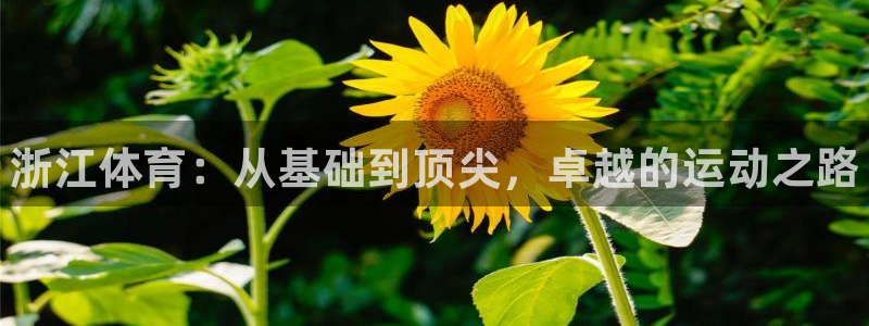 意昂3集团官网首页网址