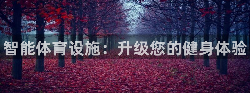 意昂体育3平台注册要钱吗是真的吗：智能体育设施：升级