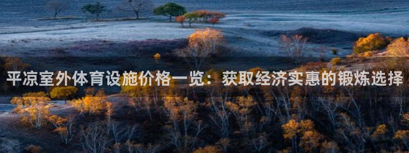 意昂体育3平台假的吗是真的吗：平凉室外体育设施价格一