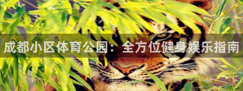 意昂体育3招商电话号码是多少：成都小区体育公园：全方位健身娱