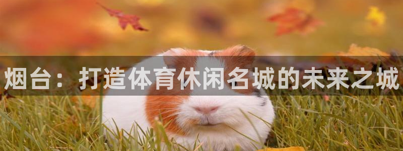 意昂体育3平台：烟台：打造体育休闲名城的未来之城