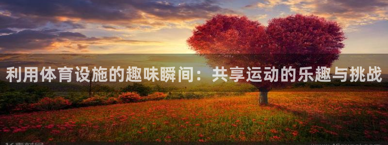 意昂3神州：利用体育设施的趣味瞬间：共享运动的乐趣与