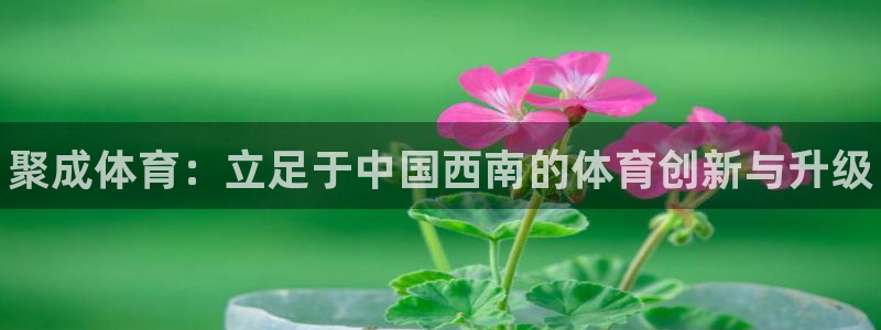 意昂3新能源：聚成体育：立足于中国西南的体育创新与升