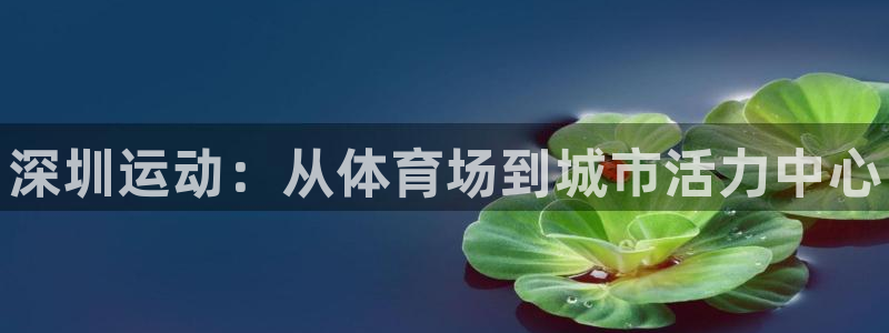 意昂体育3平台注册要钱吗安全吗：深圳运动：从体育场到