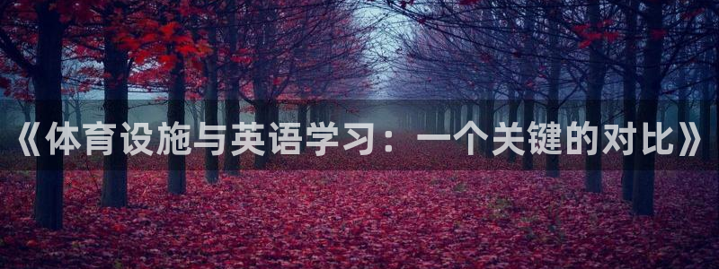 意昂体育3平台是正规平台吗安全吗：《体育设施与英语学