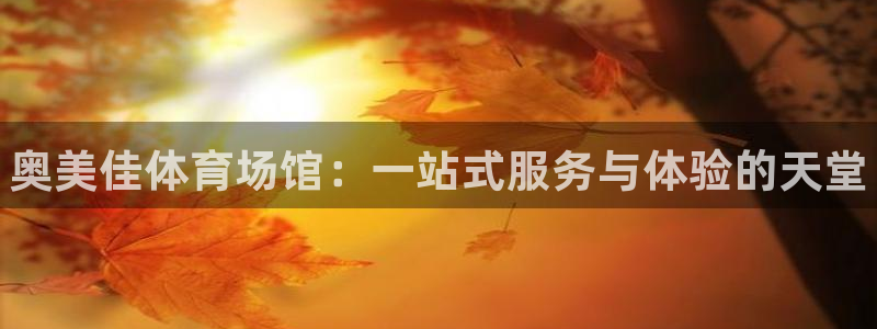 意昂体育3平台注册流程图：奥美佳体育场馆：一站式服务与体验的