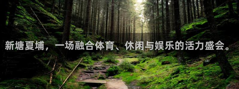 意昂体育3平台注册流程图：新塘夏埔，一场融合体育、休闲与娱乐