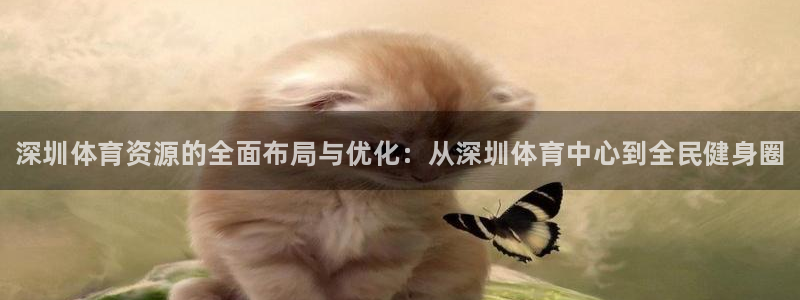 意昂3娱乐网站：深圳体育资源的全面布局与优化：从深圳体育中心