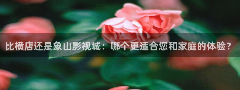 小小影视官网版