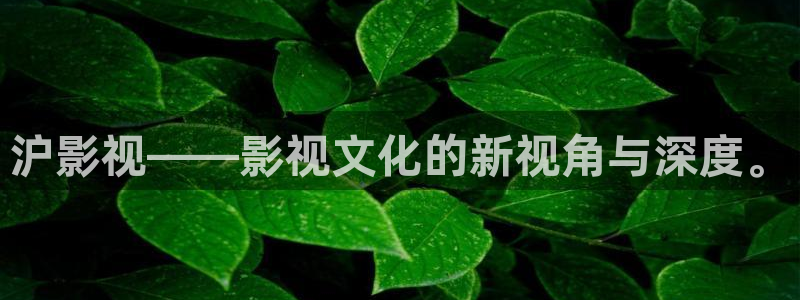 小小影视免费下载苹果：沪影视——影视文化的新视角与深度。