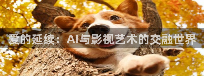 小小影视高清大全