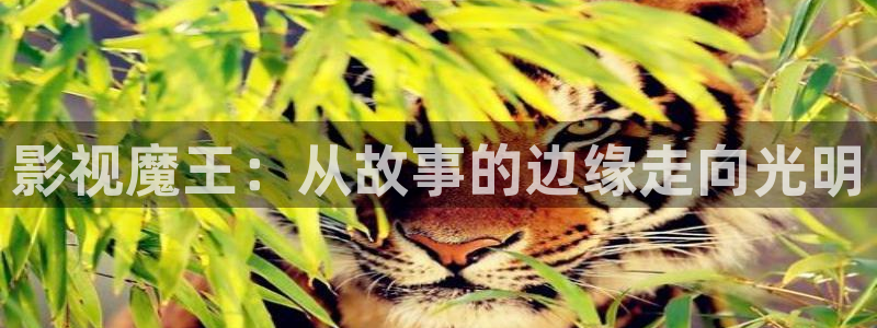 小小影视免费观看下载